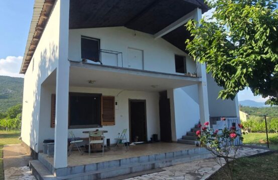 House with vineyard for sale Donji Zagarac